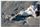 Albatross chokes on plastic bag - © Nic Reeves - phoam.co.nz