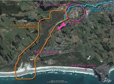 Kaikorai Estuary clean up site (Black Head) - © Nic Reeves - phoam.co.nz
