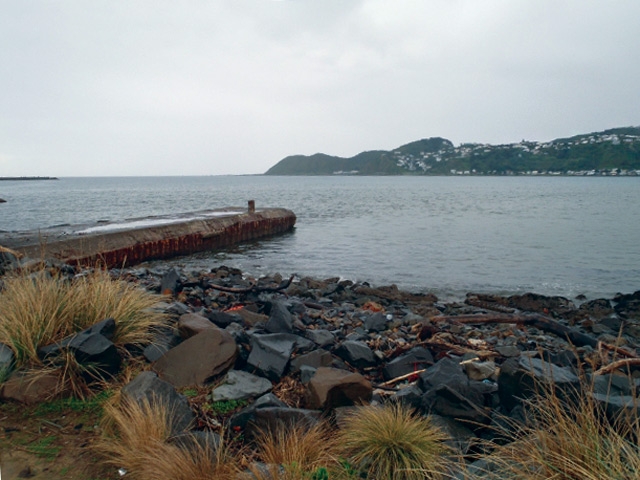 Lyall-bay-stormwater-pipe2